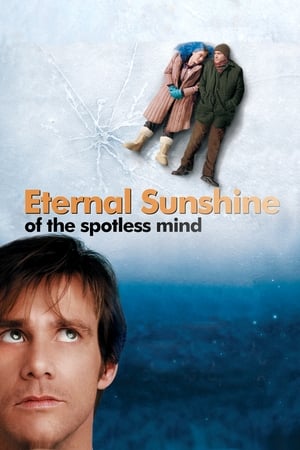 Eternal Sunshine Of The Spotless Mind 2004 Hindi Dual Audio 300MB
