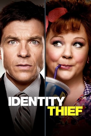 Identity Thief (2013) Hindi Dual Audio [1GB]