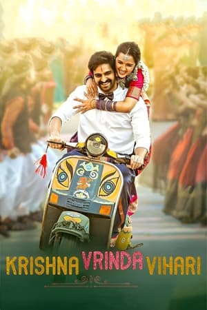 Krishna Vrinda Vihari (2022) (Hindi – Telugu) Dual Audio – 480p