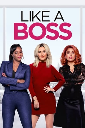 Like a Boss (2020) Hindi Dual Audio [760MB]
