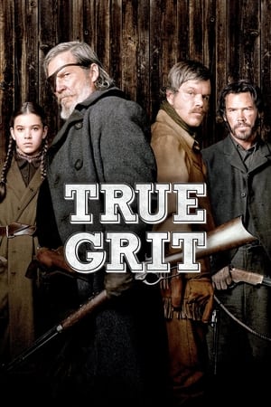 True Grit (2010) Hindi Dual Audio 350MB